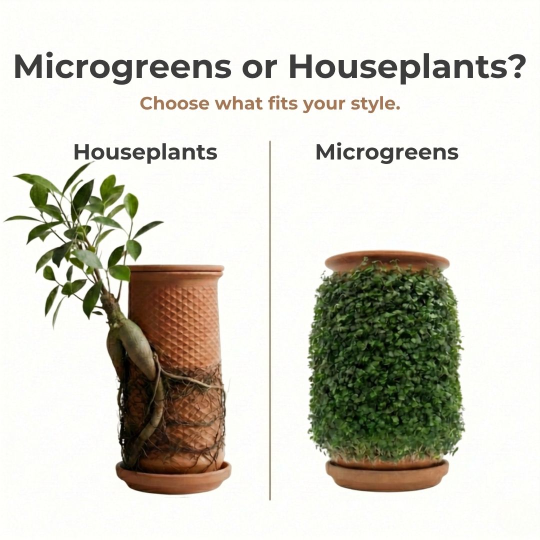 Plantel Pot | Countertop Microgreens Garden