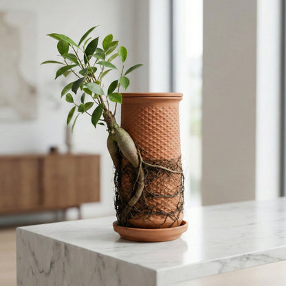 Plantel Pot | Countertop Microgreens Garden