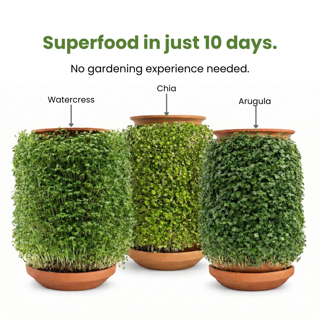 Plantel Pot | Countertop Microgreens Garden
