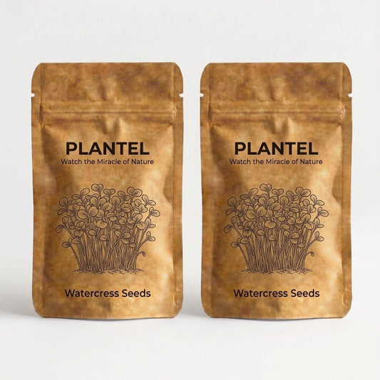 Plantel WaterCress Microgreen Seeds - 2 Packs