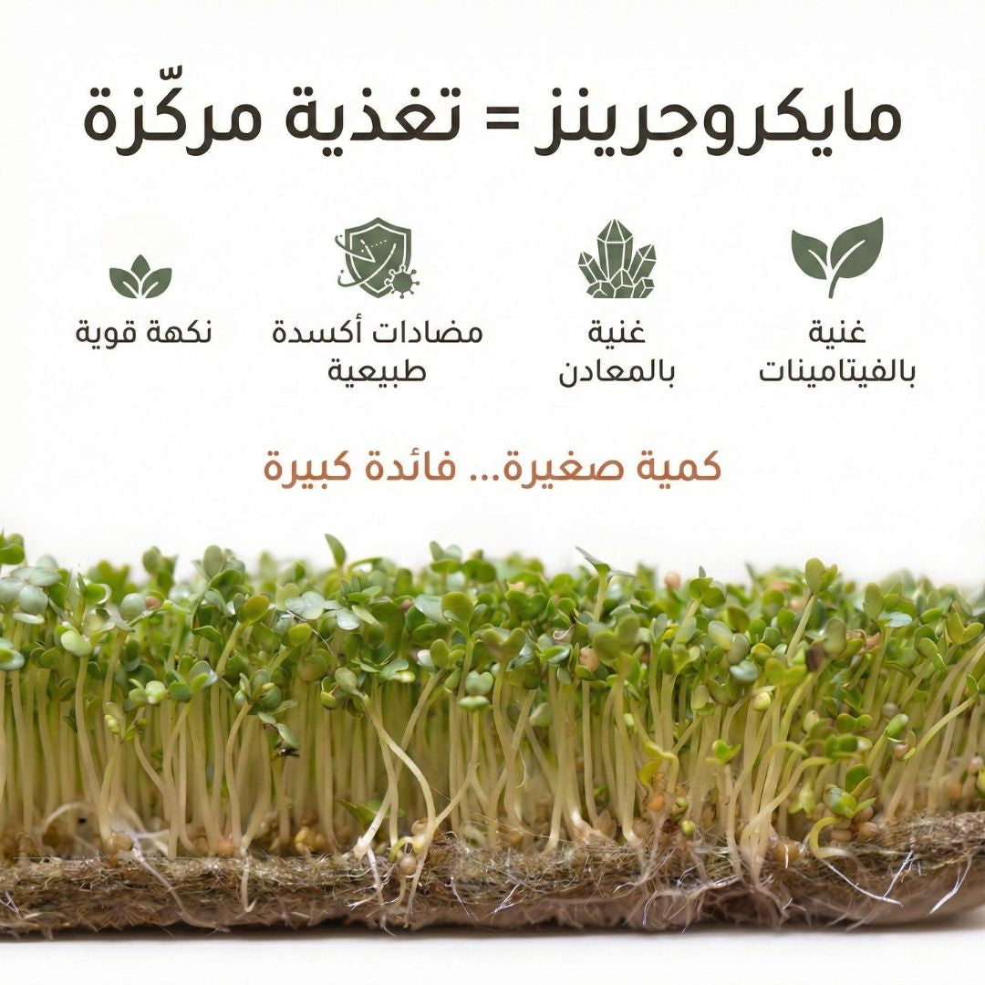 Plantel Pot | Countertop Microgreens Garden