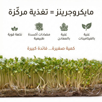 Plantel Pot | Countertop Microgreens Garden