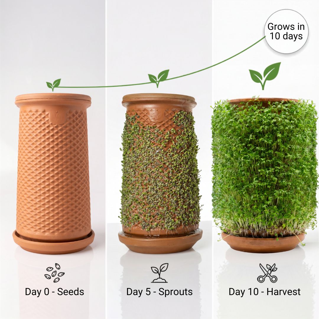 Plantel Pot | Countertop Microgreens Garden