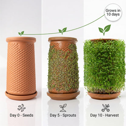 Plantel Pot | Countertop Microgreens Garden