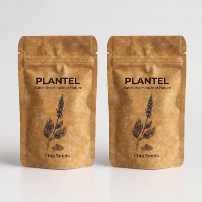 Plantel Chia Microgreen Seeds - 2 Packs