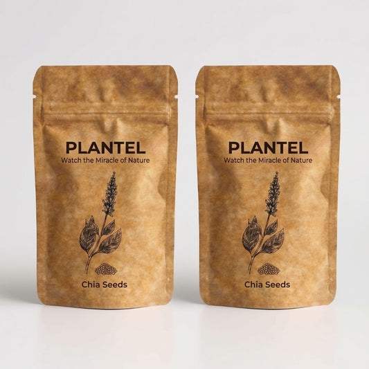 Plantel Chia Microgreen Seeds - 2 Packs
