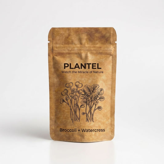 Plantel Immunity Mix — Broccoli + Watercress