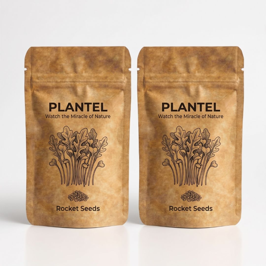 Plantel Rocket Microgreen Seeds (Arugula) - 2 Packs