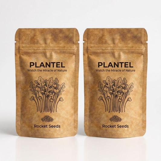 Plantel Rocket Microgreen Seeds (Arugula) - 2 Packs