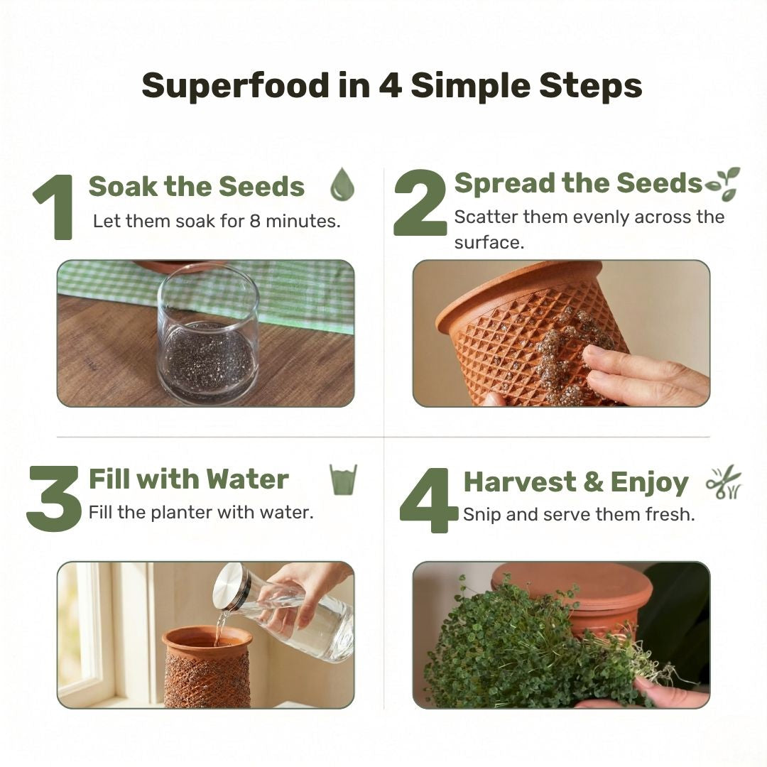 Plantel Pot | Countertop Microgreens Garden