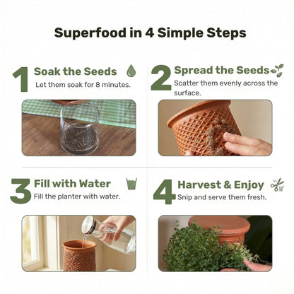 Plantel Pot | Countertop Microgreens Garden