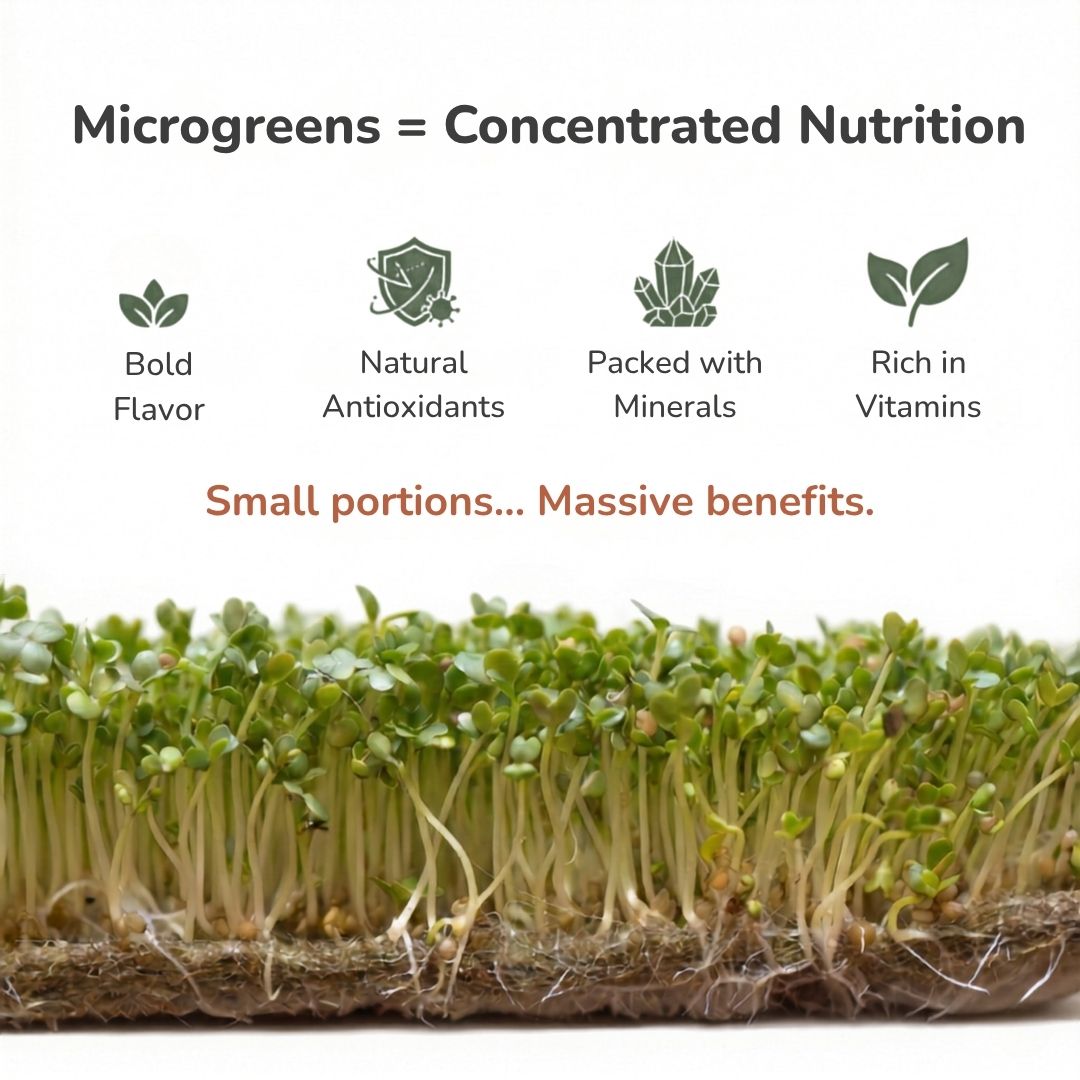 Plantel Pot | Countertop Microgreens Garden