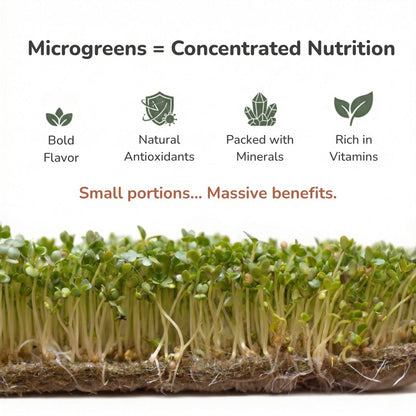 Plantel Pot | Countertop Microgreens Garden