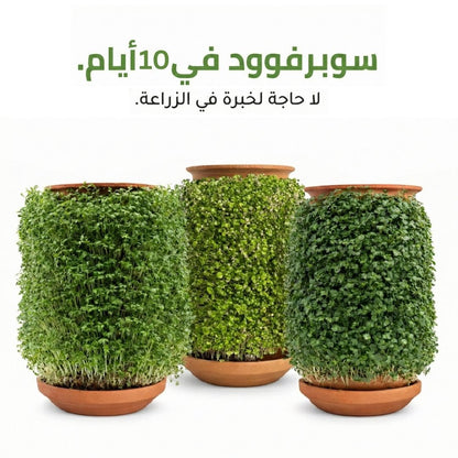 Super food, Microgreens in 10 days with plantel